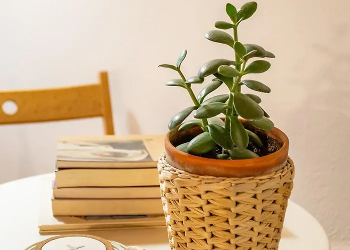 Apartmán Alfama Pateo